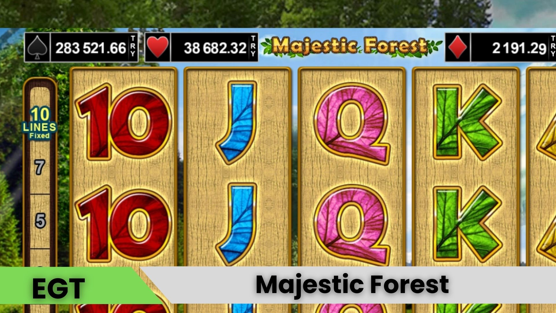 Majestic Forest