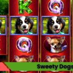 Swetty Dogs Oyna