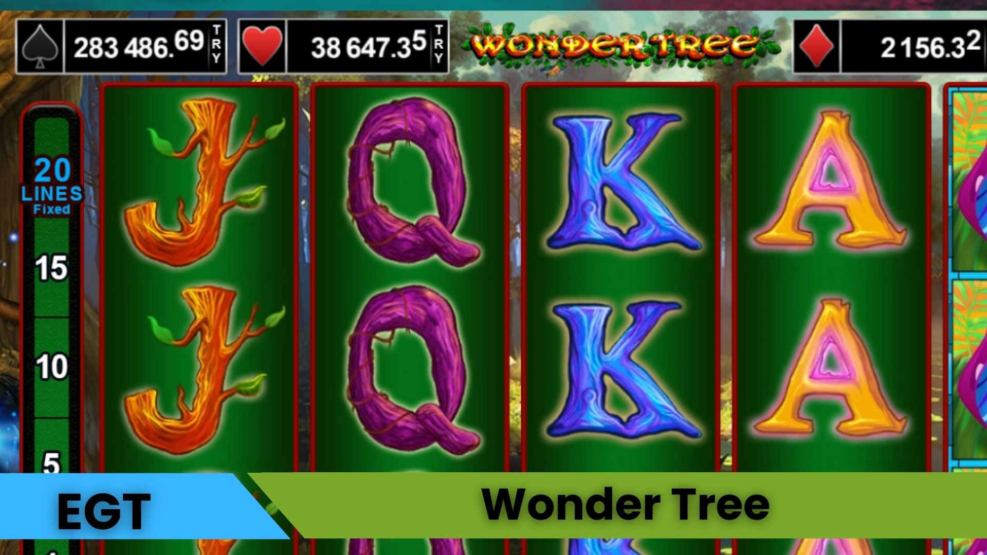Wonder Tree